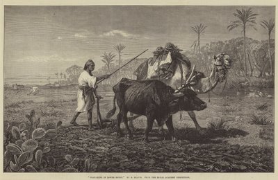 Ploughing in Lower Egypt by Richard Beavis